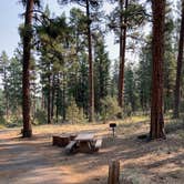 Review photo of Idlewild Campground - Malheur by MickandKarla W., August 23, 2021