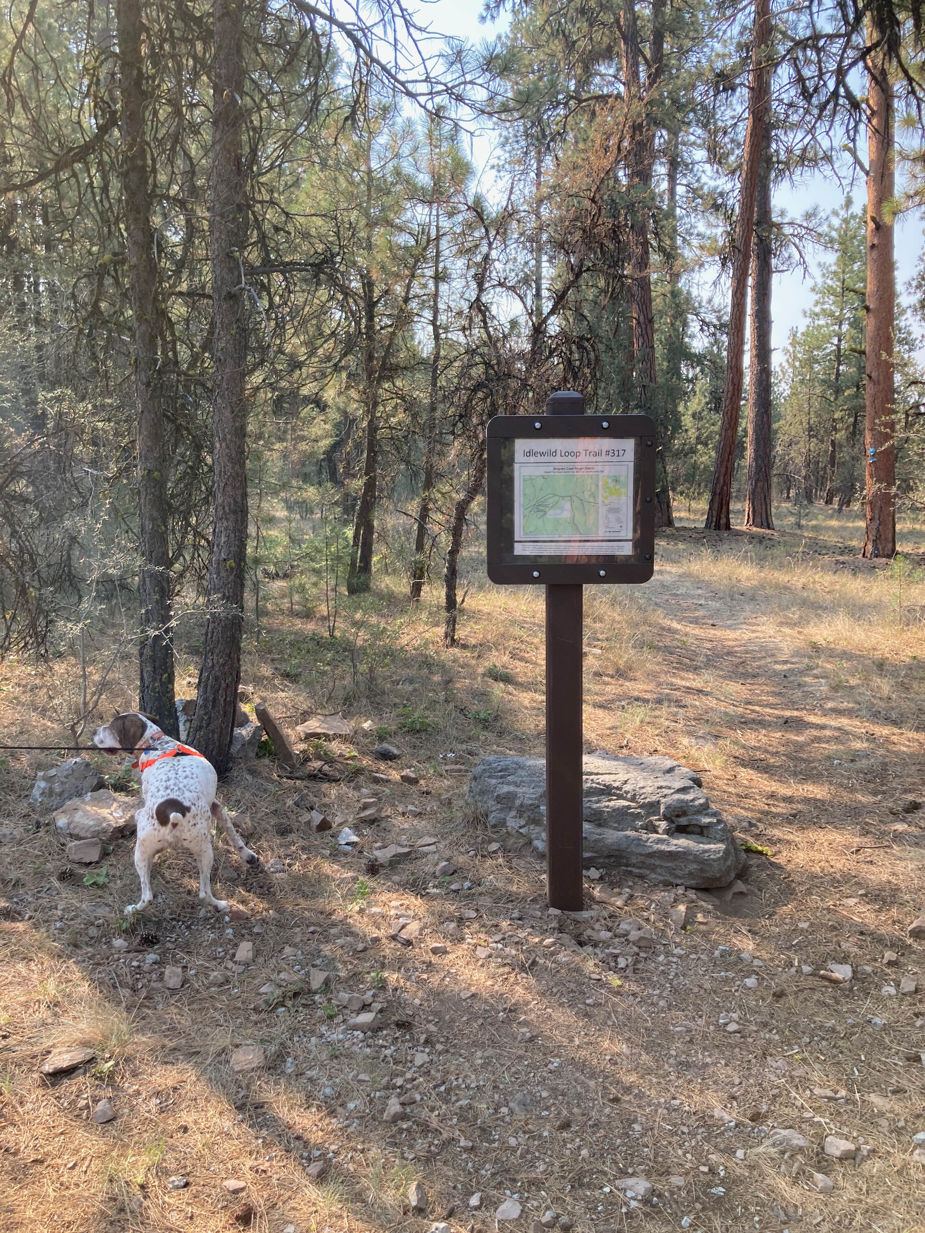 MickandKarla W.'s photo of camping with pets at Idlewild Campground - Malheur near John Day, OR