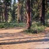 Review photo of Idlewild Campground - Malheur by MickandKarla W., August 23, 2021