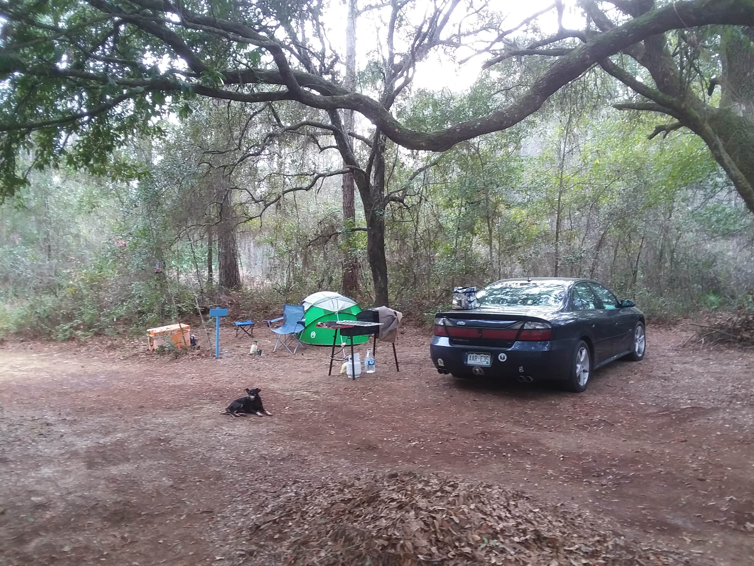 Allen C.'s photo at Dude Off Grid's Tent Sites near San Mateo, FL