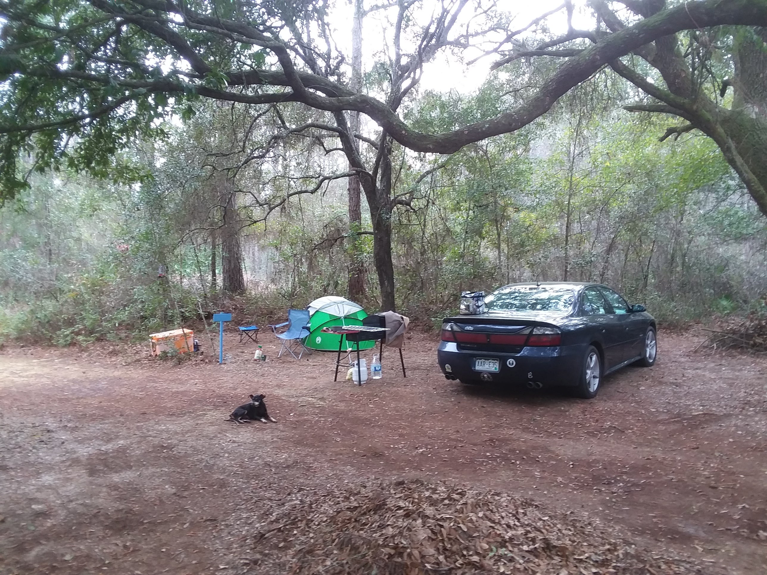 Camper submitted image from Dude Off Grid's Tent Sites - 1