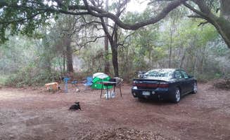 Allen C.'s photo at Dude Off Grid's Tent Sites near San Mateo, FL
