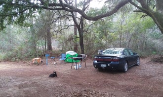 Camping near Townsend Russell: Dude Off Grid's Tent Sites, Interlachen, Florida