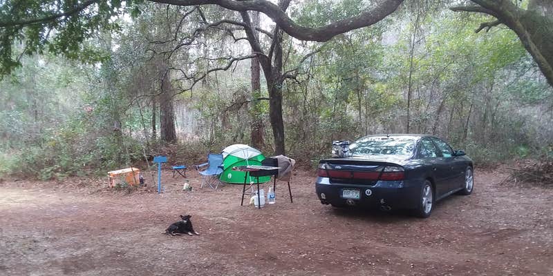Camper submitted image from Dude Off Grid's Tent Sites