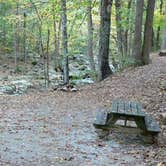 Review photo of Crabtree Falls Campground by Cory D., June 19, 2018