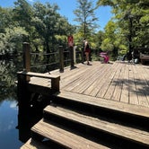 Review photo of Withlacoochee River Park by the R., August 23, 2021