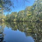 Review photo of Withlacoochee River Park by the R., August 23, 2021