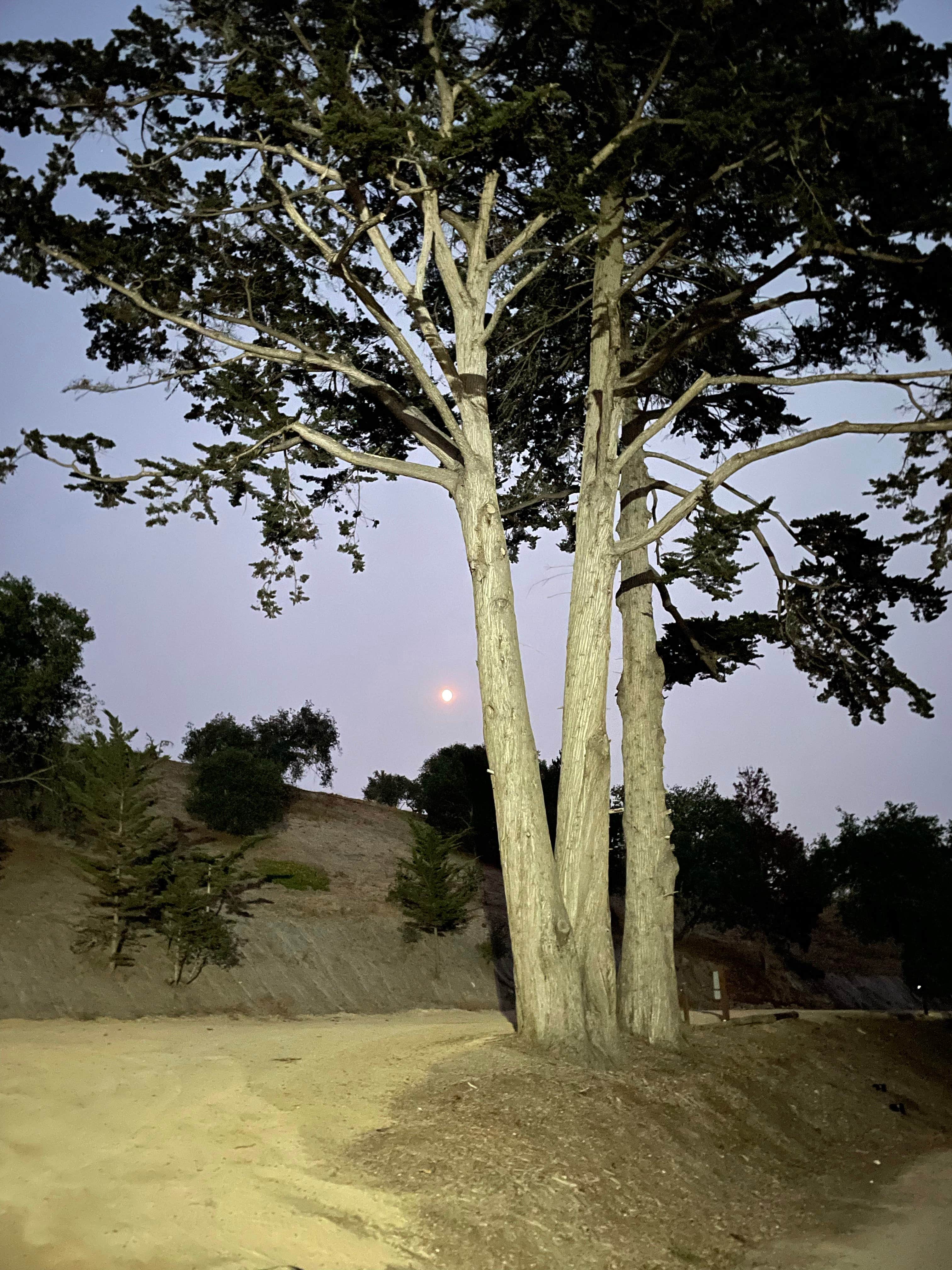 Camper-submitted photo at Camp Arroyo Grande near Oceano, CA