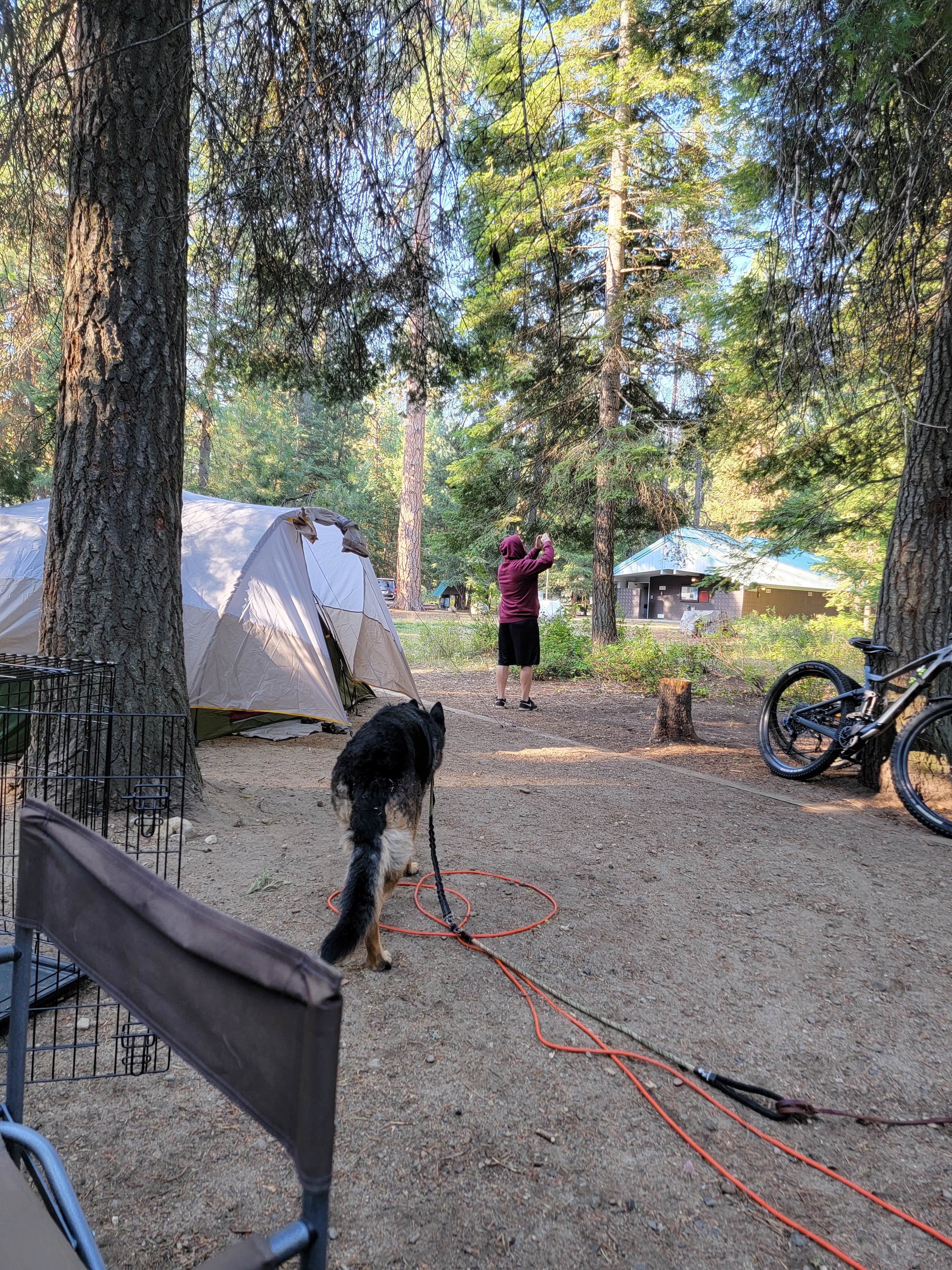 Amanda C.'s photo at Peninsula Campground — Ponderosa State Park near Yellow Pine, ID