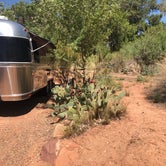 Review photo of Zion Canyon Campground by Todd P., August 23, 2021