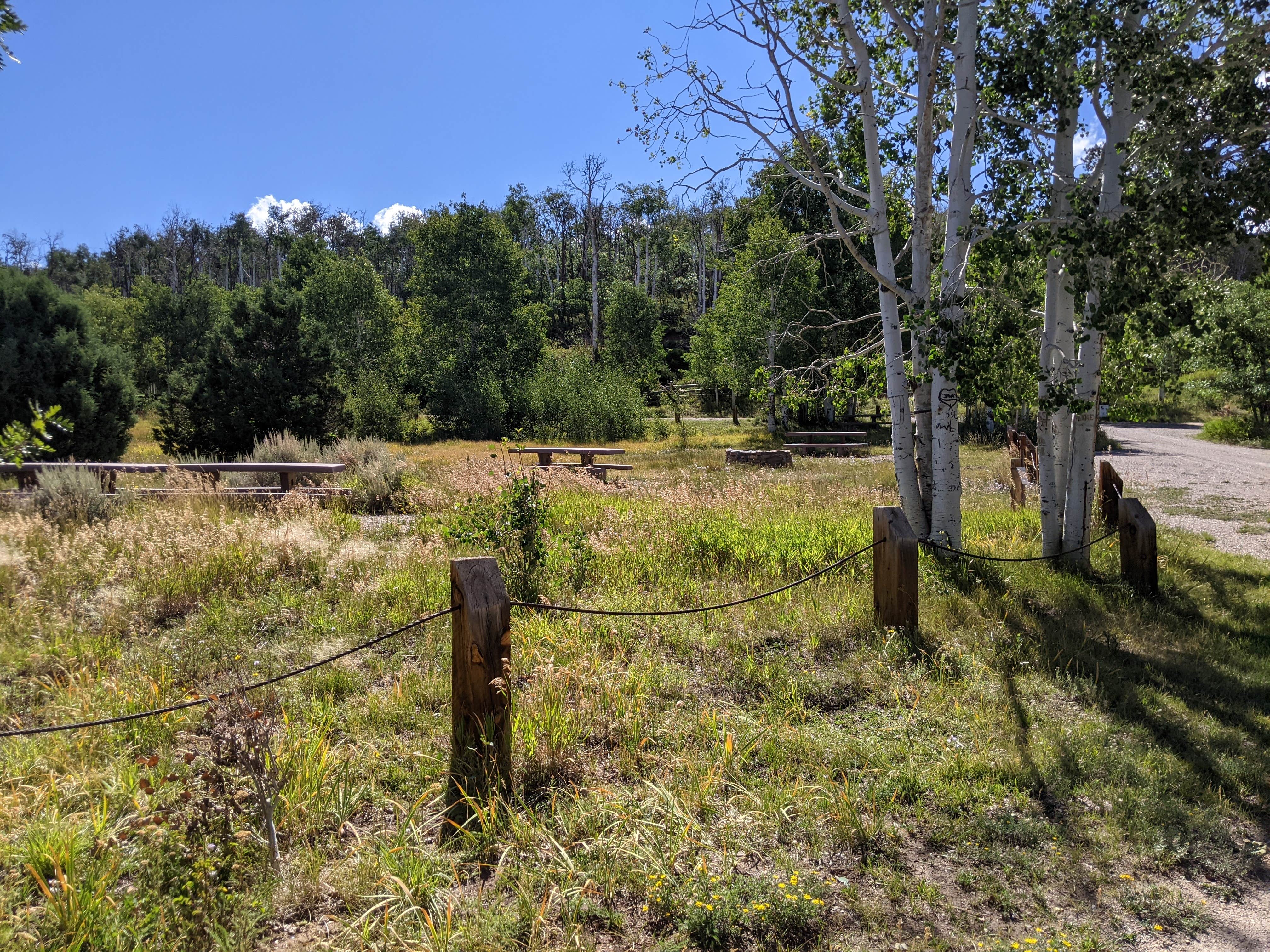Mud Springs Campground
