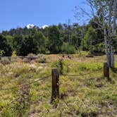 Review photo of Mud Springs Campground by Greg L., August 23, 2021