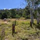 Mud Springs Campground