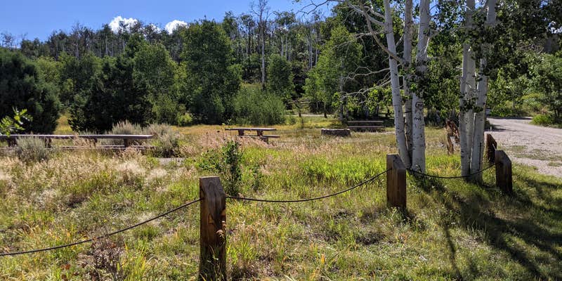 Camper submitted image from Mud Springs Campground
