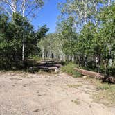 Review photo of Mud Springs Campground by Greg L., August 23, 2021