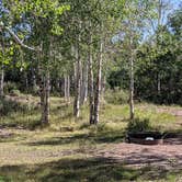 Review photo of Mud Springs Campground by Greg L., August 23, 2021