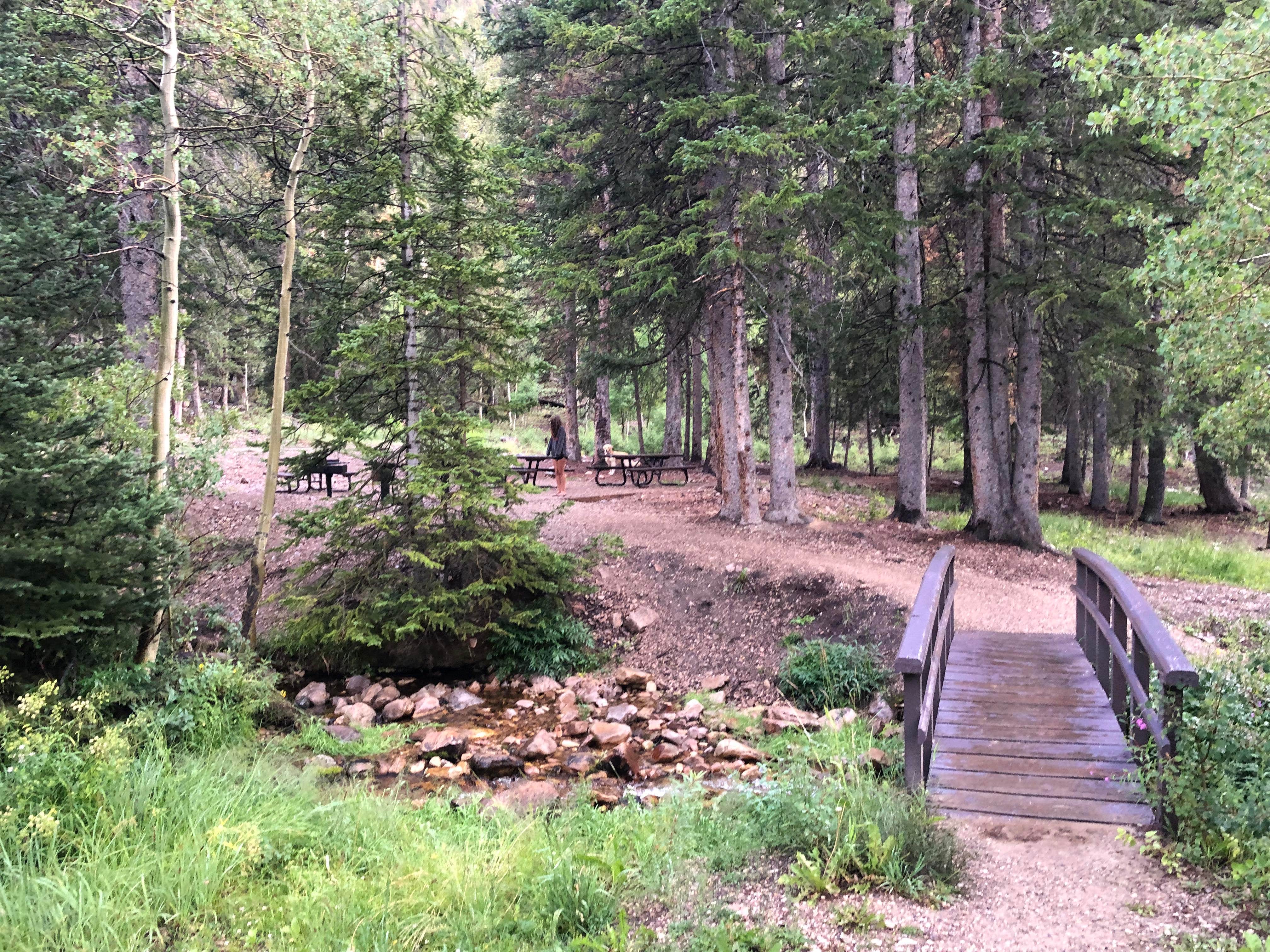 Camping near Timber Creek Campground: Timber Creek, Ely, Nevada