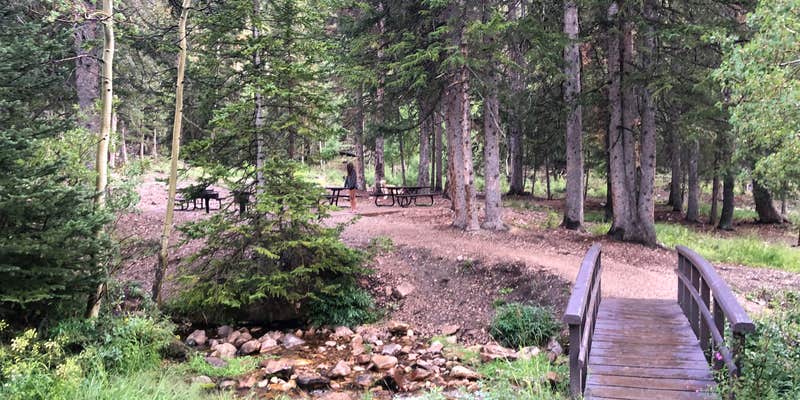 Camper submitted image from Timber Creek