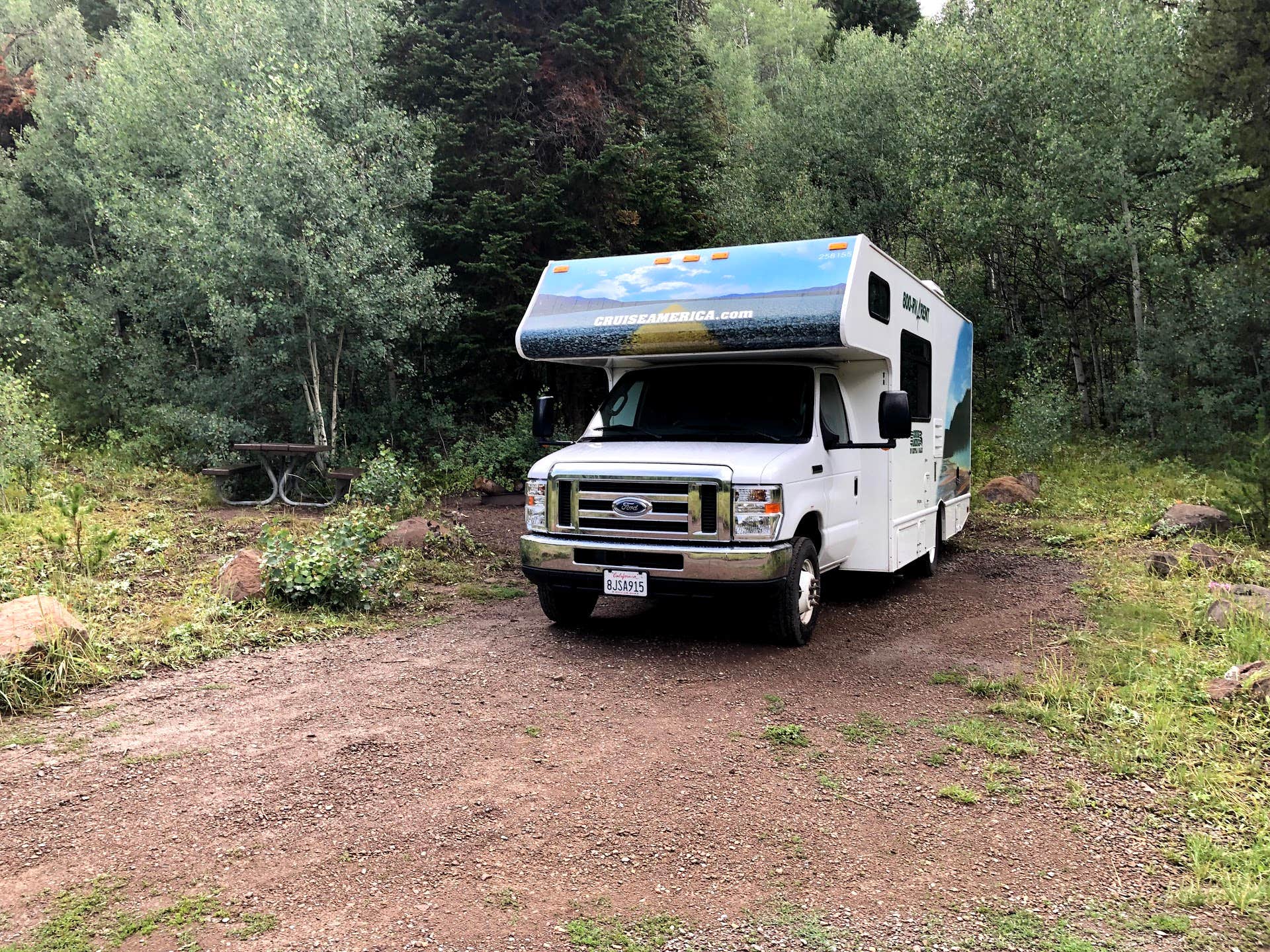 Camper submitted image from Lower Penstemon - 5