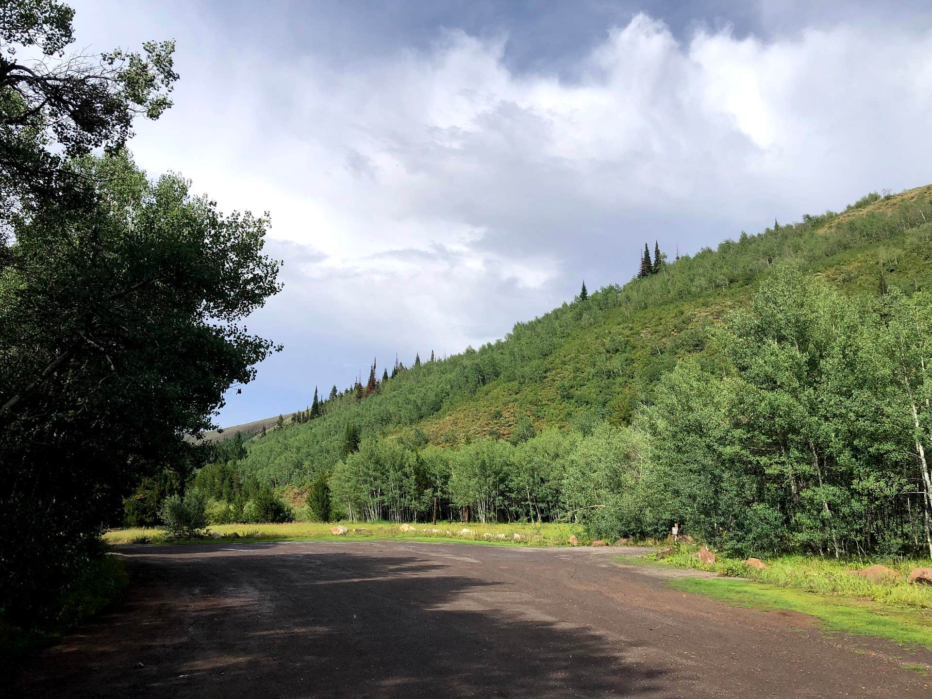 Camper submitted image from Lower Penstemon - 2