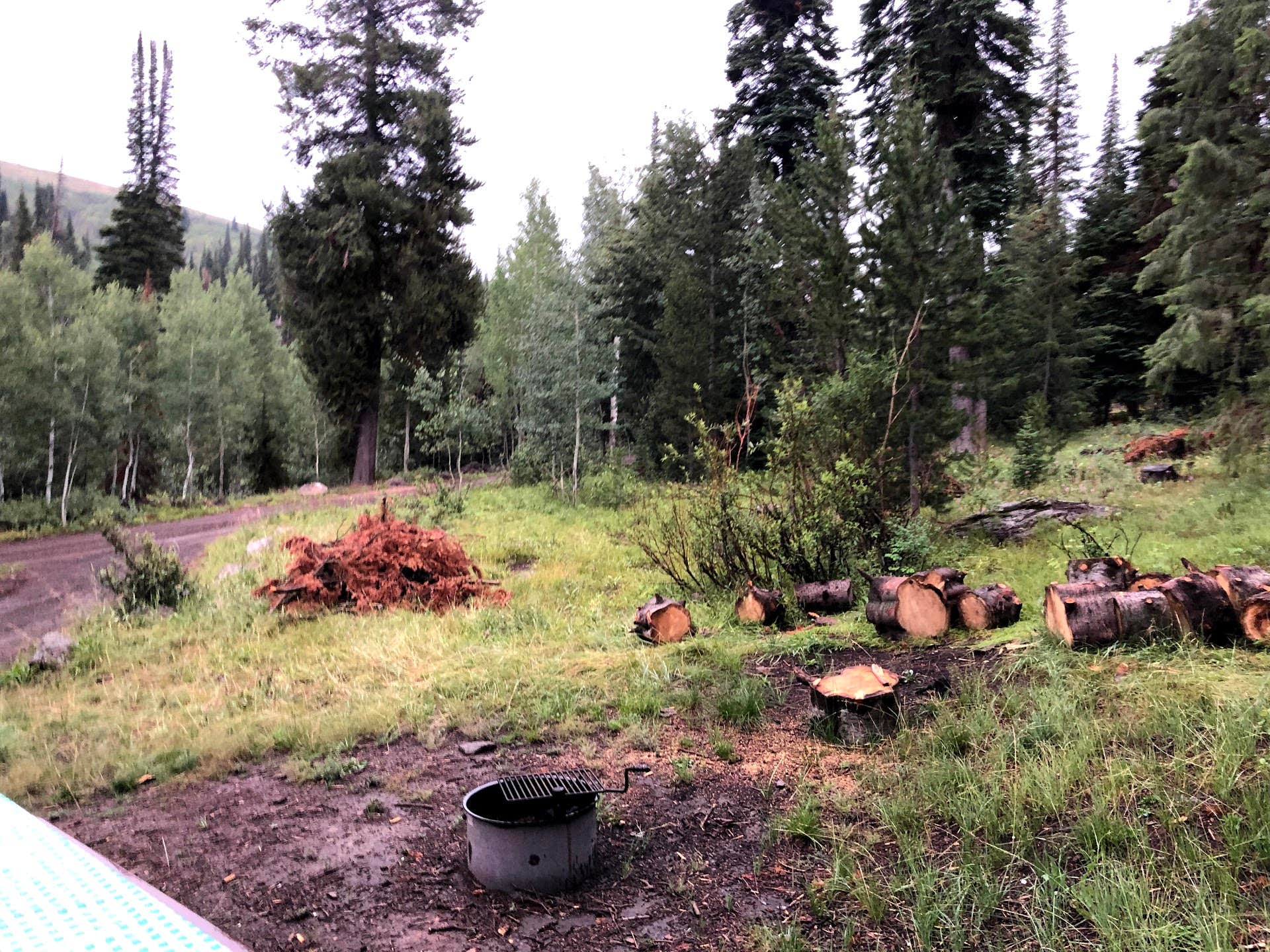 Camper submitted image from Pettit Campground — Sawtooth National Forest - 1