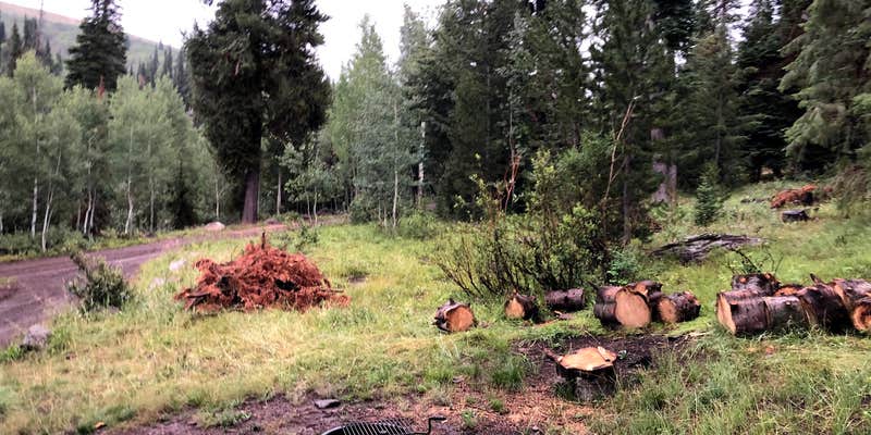 Camper submitted image from Pettit Campground — Sawtooth National Forest