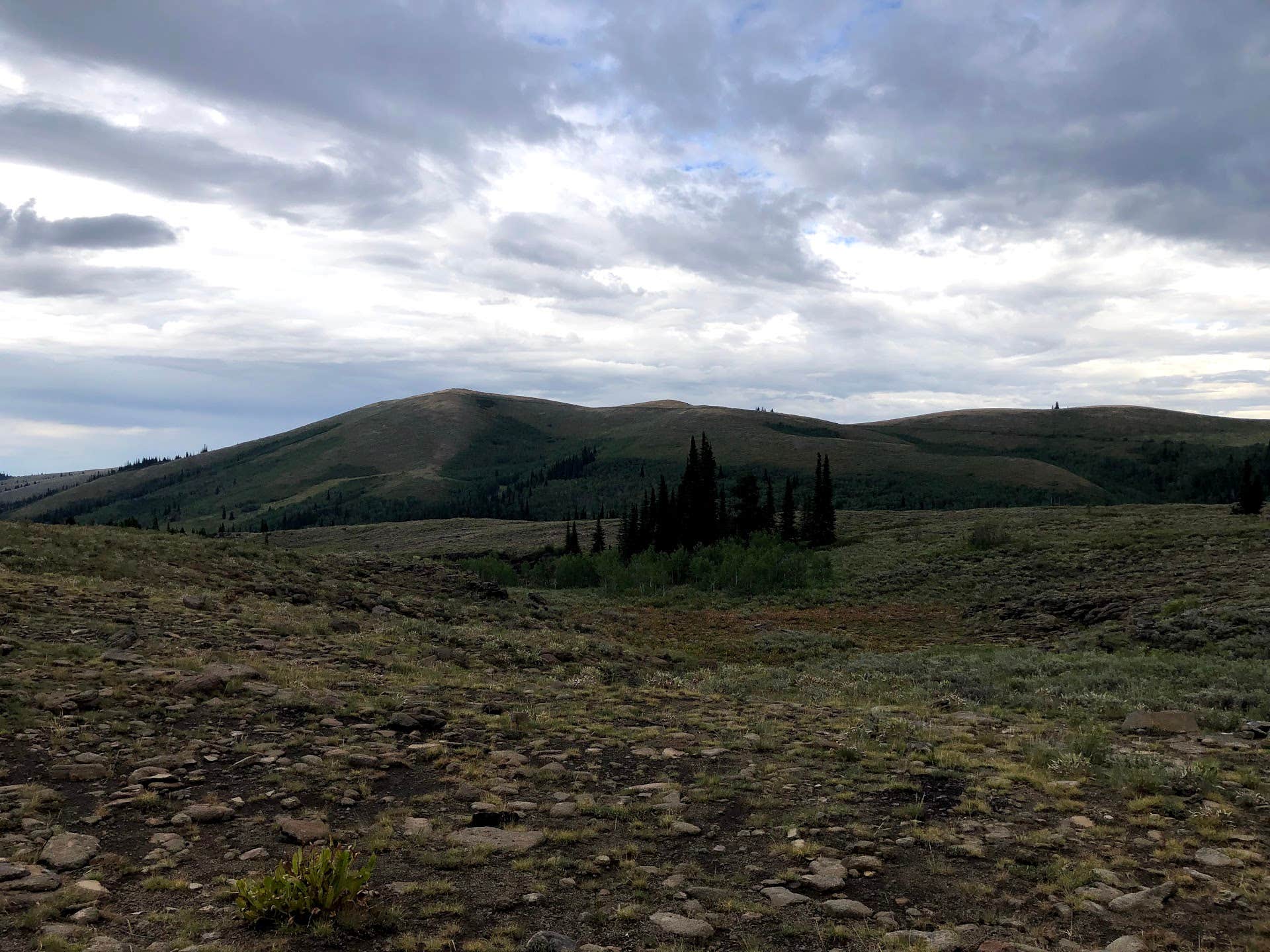 Camper submitted image from Pettit Campground — Sawtooth National Forest - 2