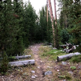 Trail from camp to salmon river