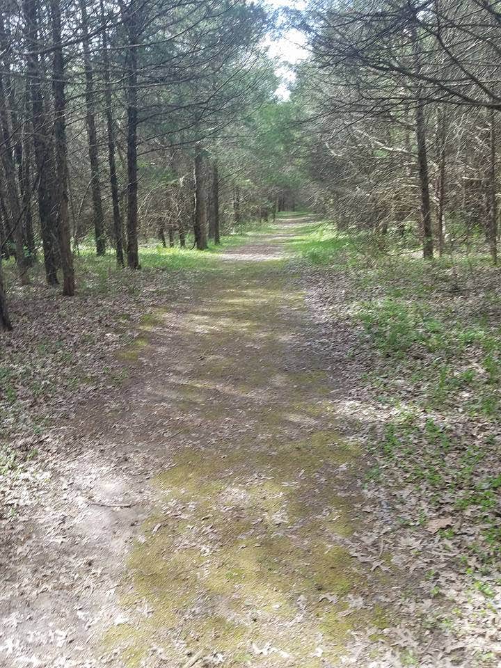 Camper submitted image from Graham Cave State Park Campground - 2