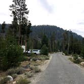 Review photo of Sunny Gulch Campground by Austin C., August 23, 2021