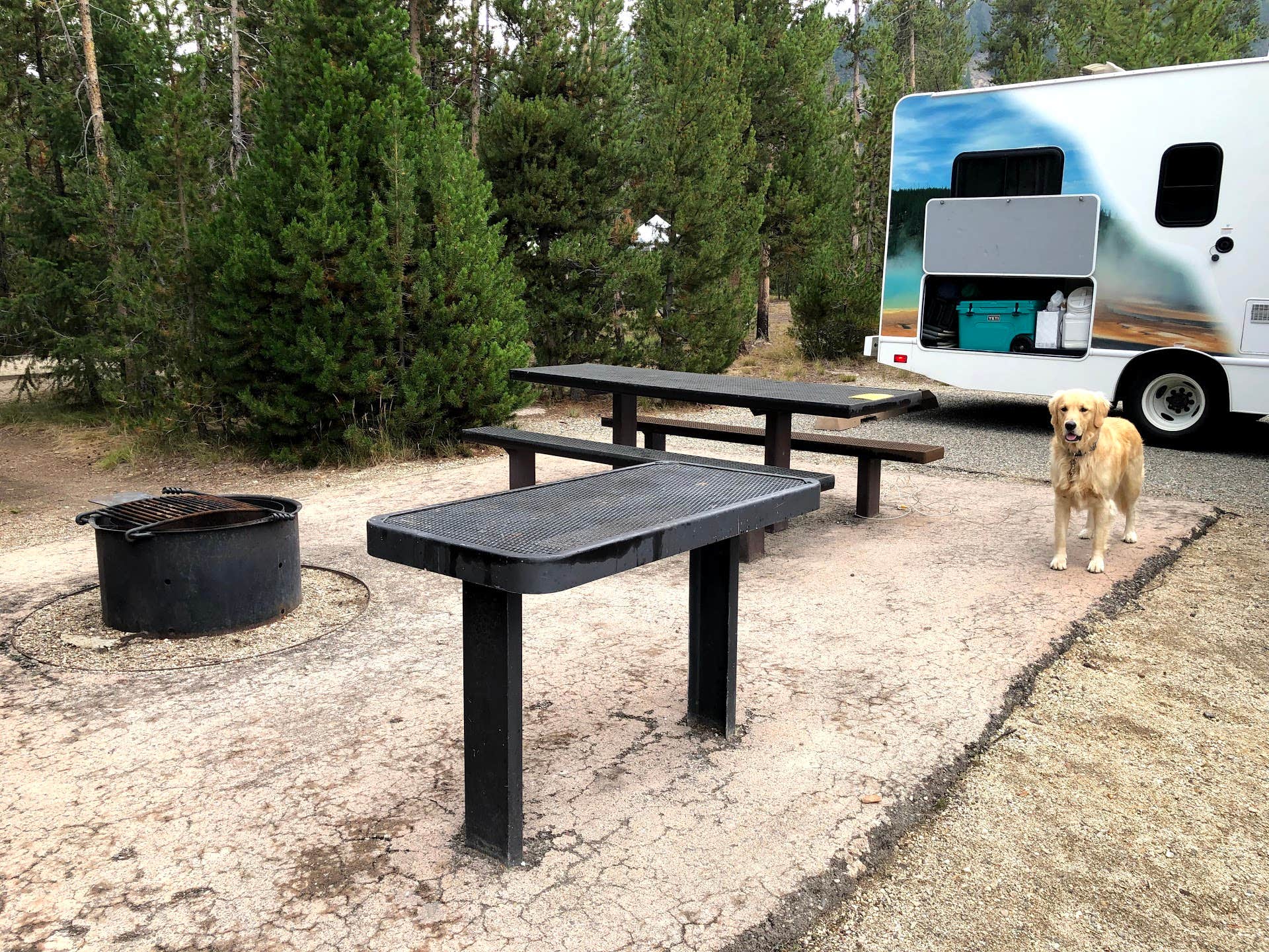 Austin C.'s photo of camping with pets at Sunny Gulch Campground near Salmon-Challis National Forest