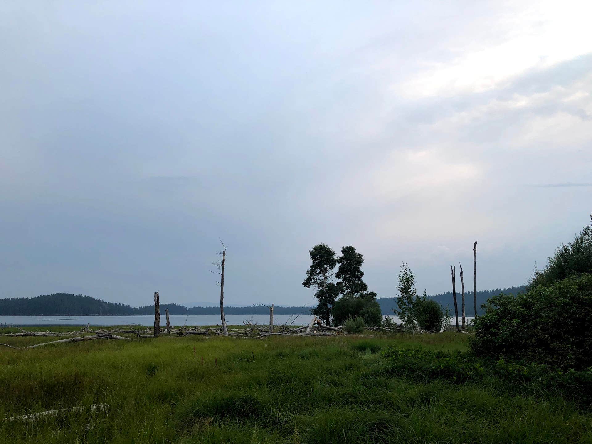 Camper submitted image from Little Payette Lake (Dispersed) - 5