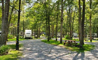 Harry C.'s photo of rv camping at Point South KOA near Ehrhardt, SC