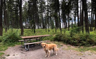 Austin C.'s photo of camping with pets at Lake Mary Ronan State Park Campground near Hot Springs, MT
