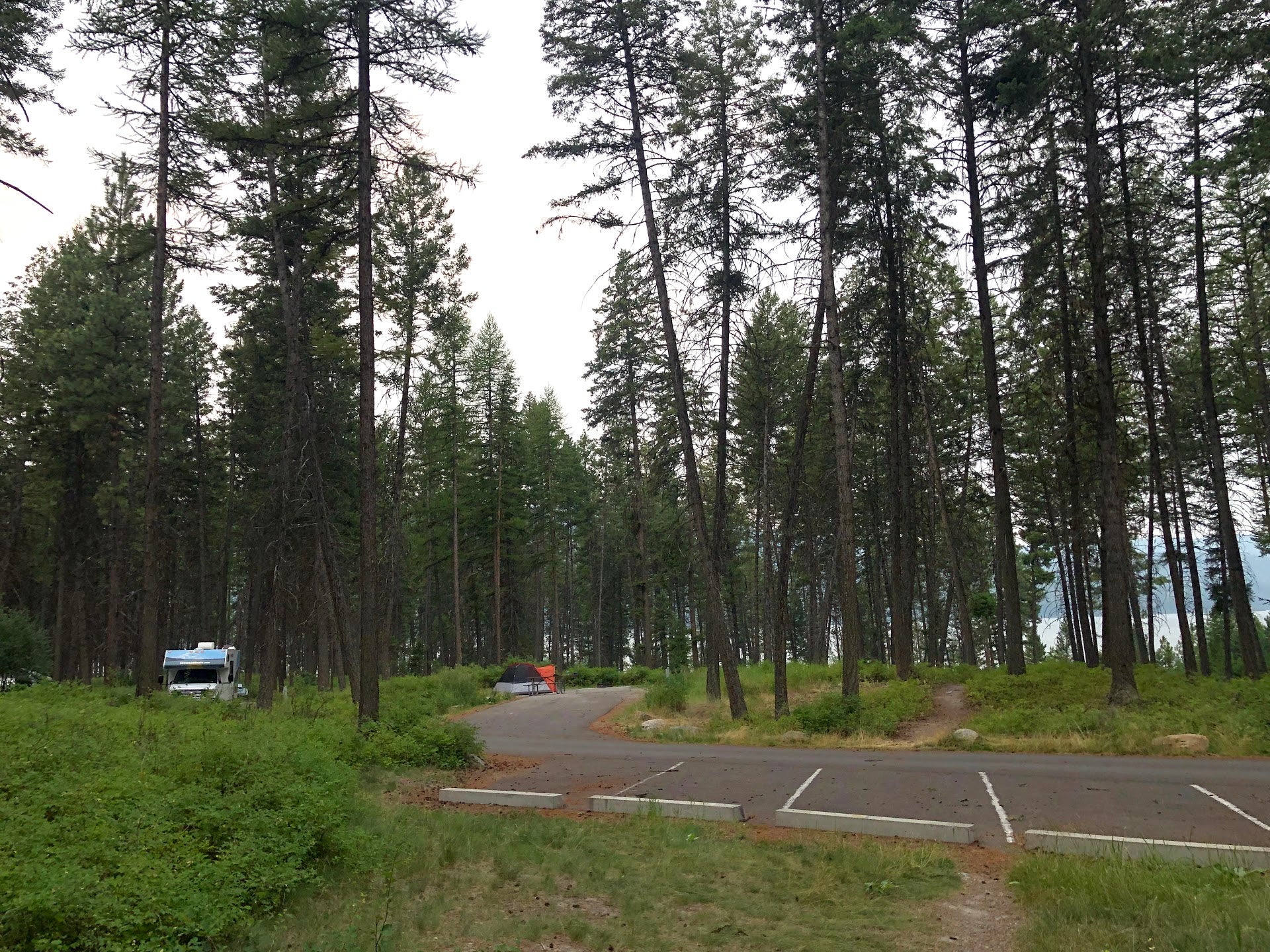 Camper submitted image from Lake Mary Ronan State Park Campground - 3