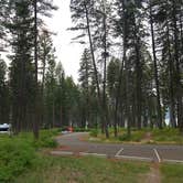 Review photo of Lake Mary Ronan State Park by Austin C., August 23, 2021