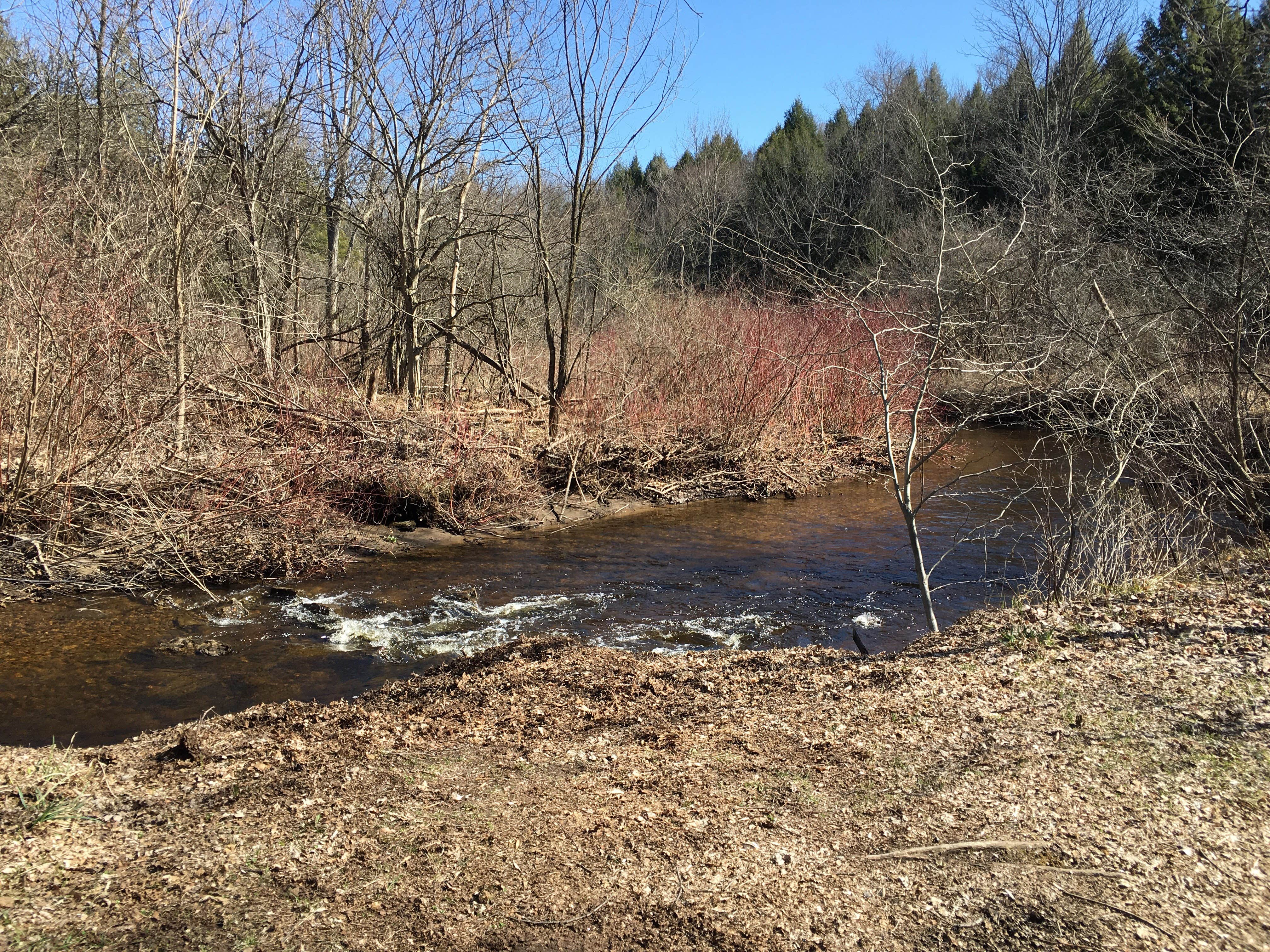 Camper submitted image from Crystal Grove Diamond Mine & Campground - 3