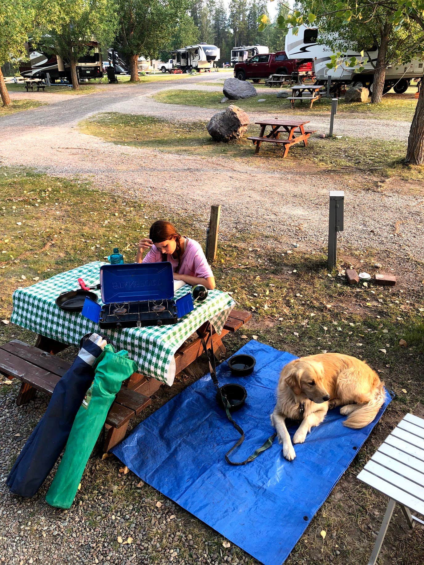 Austin C.'s photo of camping with pets at North American RV Park & Yurt Village near Whitefish, MT