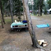 Review photo of Madison Campground — Yellowstone National Park by Austin C., August 23, 2021