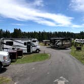 Review photo of Bridge Bay Campground — Yellowstone National Park by Austin C., August 23, 2021