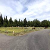 Review photo of Bridge Bay Campground — Yellowstone National Park by Austin C., August 23, 2021