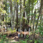 Review photo of Ocean Pond Campground by Curtis D., August 23, 2021