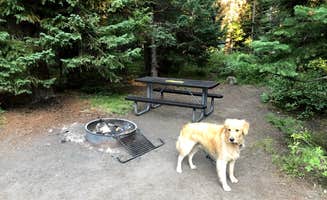 Austin C.'s photo of camping with pets at Colter Bay RV Park at Colter Bay Village — Grand Teton National Park near Grand Teton National Park