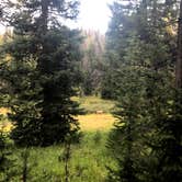 Review photo of Meadows Campground by Austin C., August 23, 2021