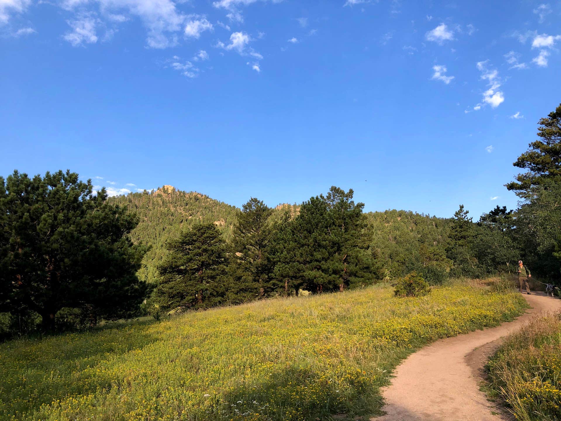 Camper submitted image from Larimer County Hermit Open Space County Park Bobcat Campground - 3