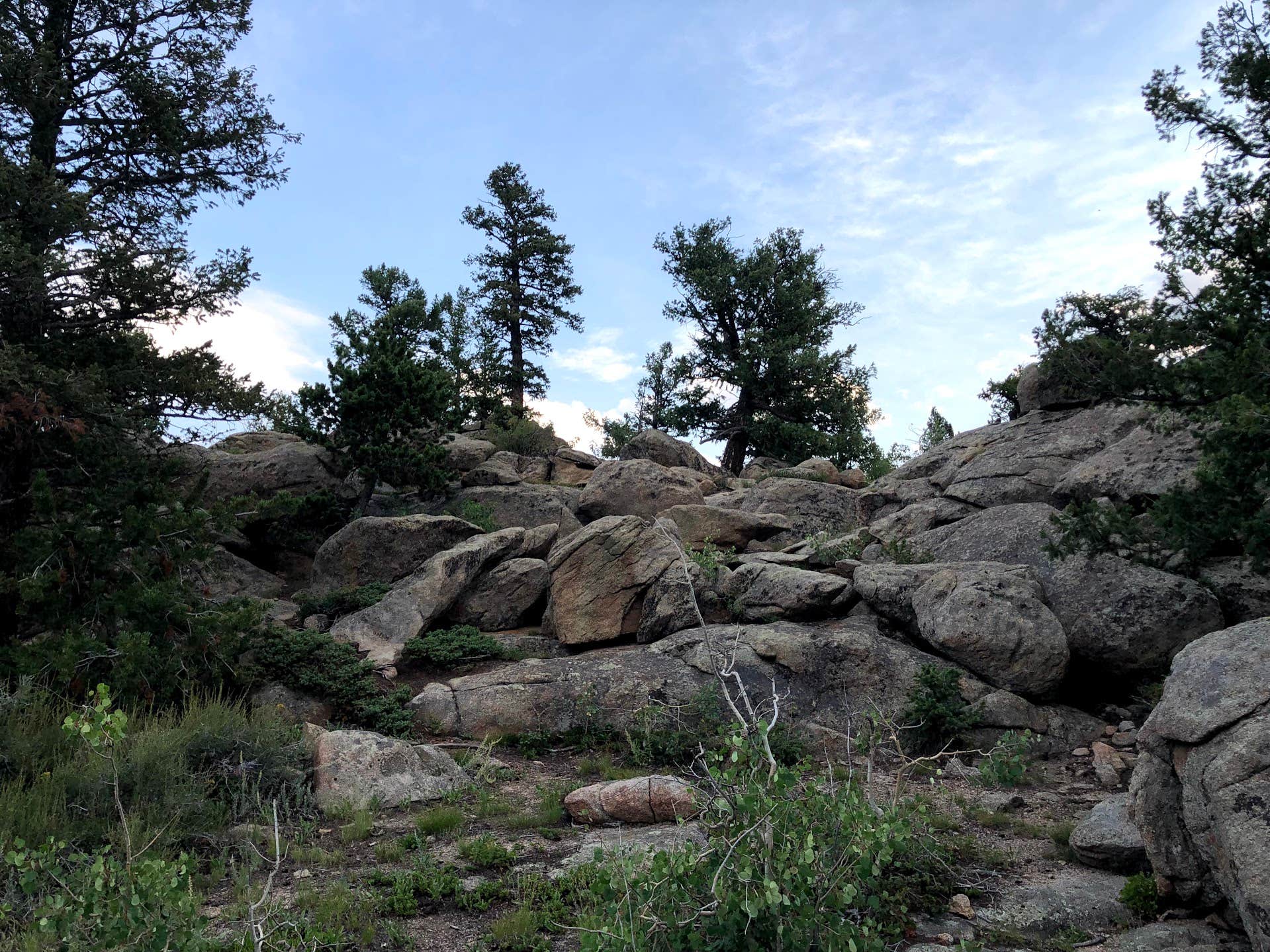 Camper submitted image from Larimer County Hermit Open Space County Park Bobcat Campground - 2