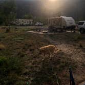 Review photo of Pa-Co-Chu-Puk Campground — Ridgway State Park by Austin C., August 23, 2021