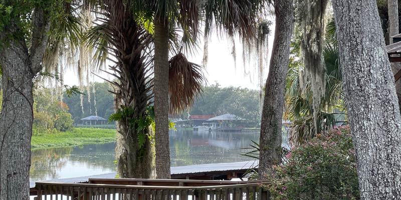 Camper submitted image from Parramore's Fantastic Fish Camp & Family Resort