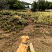 Review photo of Morefield Campground — Mesa Verde National Park by Austin C., August 23, 2021