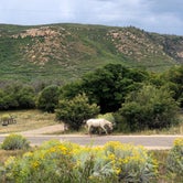 Review photo of Morefield Campground — Mesa Verde National Park by Austin C., August 23, 2021
